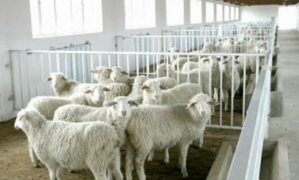 现代养殖场怎样选择二次供水设备?